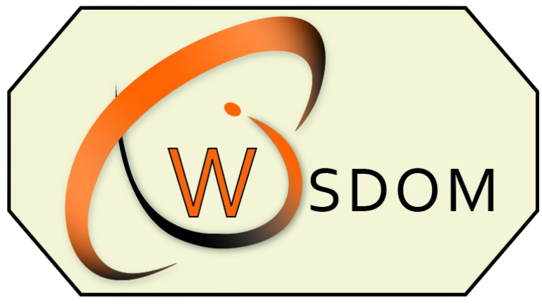 Wisdom Academy of IT